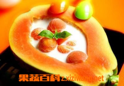 ���߰ٿ� ��ľ����ʲô�ô�