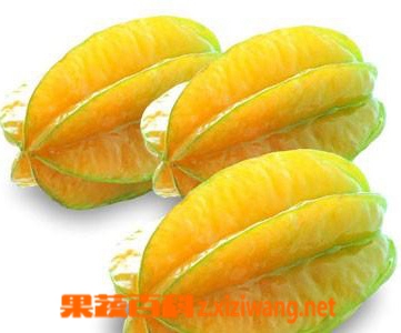 ���߰ٿ�����