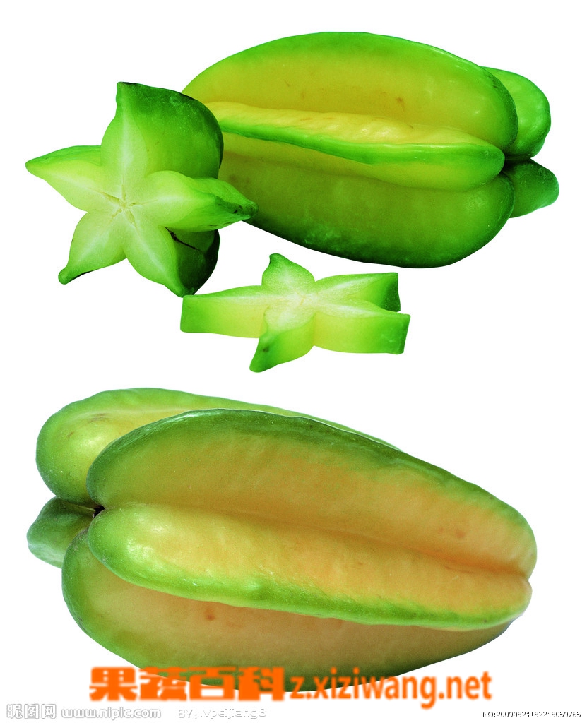 ���߰ٿ�����