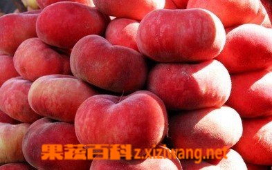 ���߰ٿ����