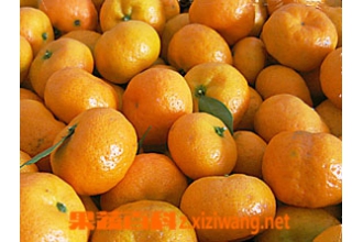 �۽۵�Ӫ����ֵ�͹�Ч������