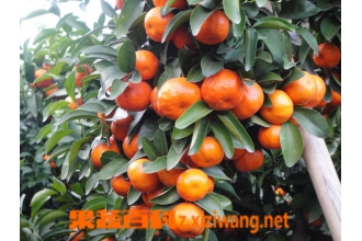 �и���ɰ���ٺ���?