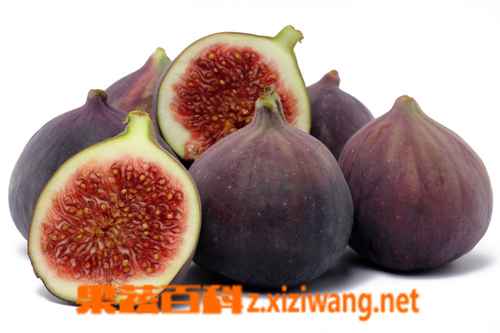 ���߰ٿ��޻���