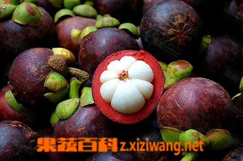 ���߰ٿ�ɽ��