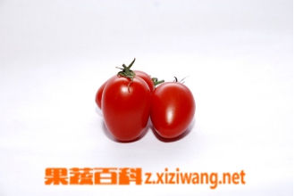 �и��ܳ�ʥŮ���� ʥŮ����Ӫ����ֵ����