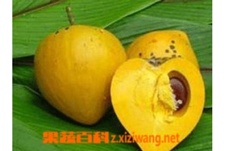 ��������Ӫ����ֵ�ͳԷ�