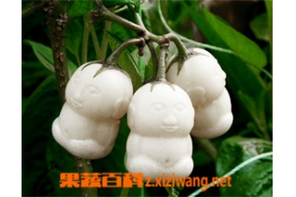 �˲ι���Ӫ����ֵ �˲ι���ô��