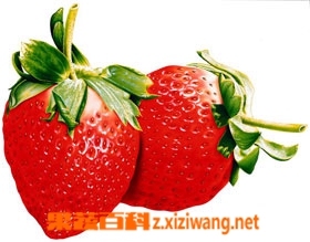 ���߰ٿƲ�ݮ