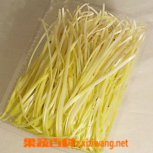 ���߰ٿƾ»�