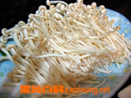 ���߰ٿƽ��빽