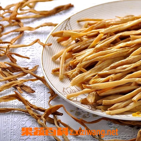 果蔬百科金针菜