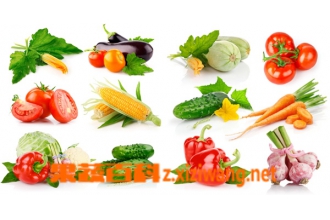 �߲˲�ҩ�����ΰ� ��Щ�߲��ܿ���