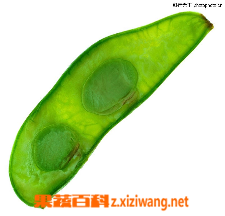 ���߰ٿƱⶹ