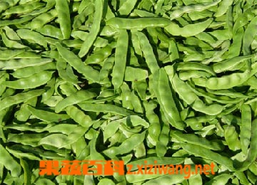 ���߰ٿƲ˶�