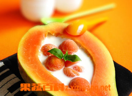 果蔬百科木瓜综合牛奶果汁