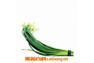 ��޷��Ӫ����ֵ��ʳ�ù�Ч