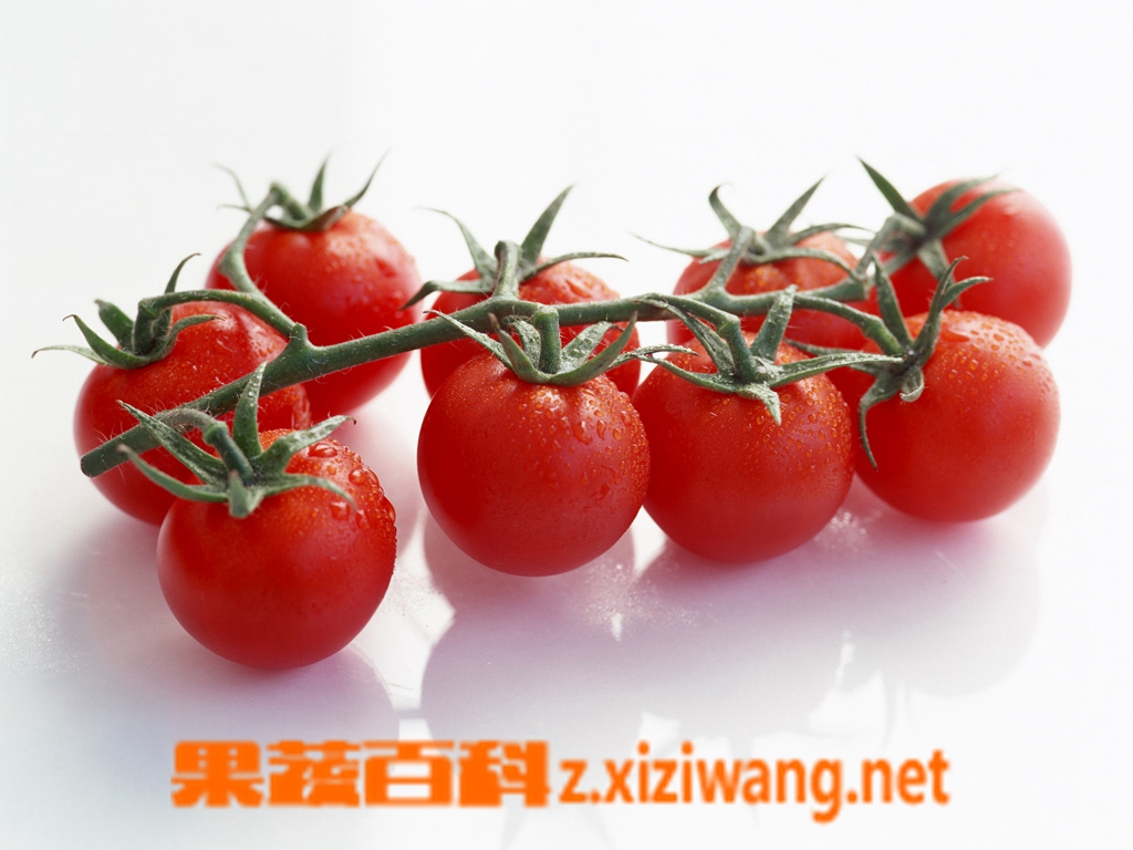 ���߰ٿƷ���