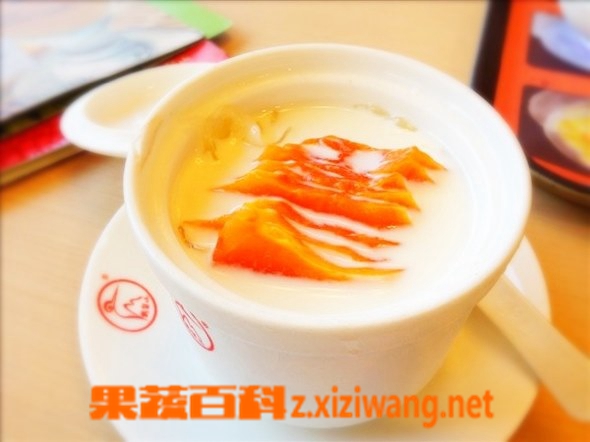 果蔬百科木瓜牛奶