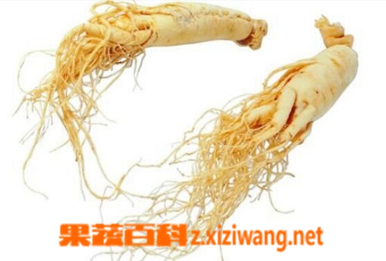 ���߰ٿƻ����