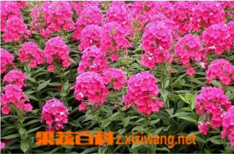 �޸���»���Ĺ�Ч������ �޸���»������ע����