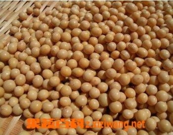 �ɶ��Ĺ�Ч������