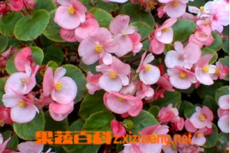 �ļ����ĵĹ�Ч������