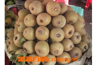 ���Ĺ���ô�� ���Ĺ��Է�����
