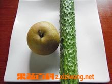 ���߰ٿƻƹϺ�����һ�����