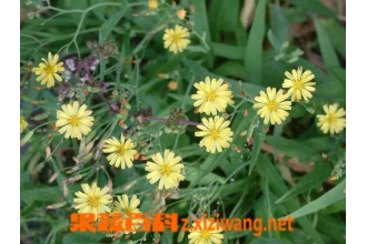 �ö��˵Ĺ�Ч������