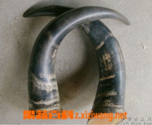 ���߰ٿ�ˮţ��