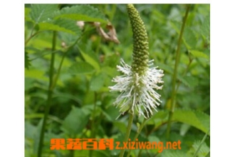 ���ܵĹ�Ч������