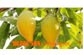 ���ƹ�Ӫ����ֵ�͹�Ч����