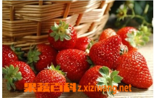 ���߰ٿƲ���ݮ