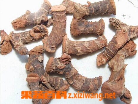 ���߰ٿƸ�����