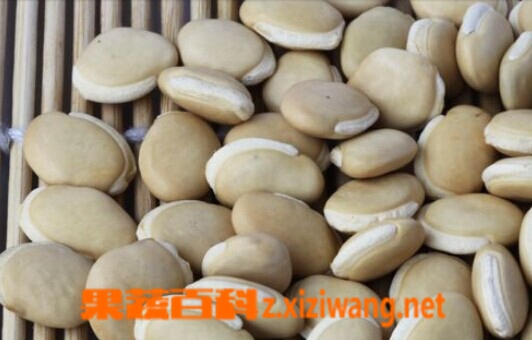 ���߰ٿư׼�