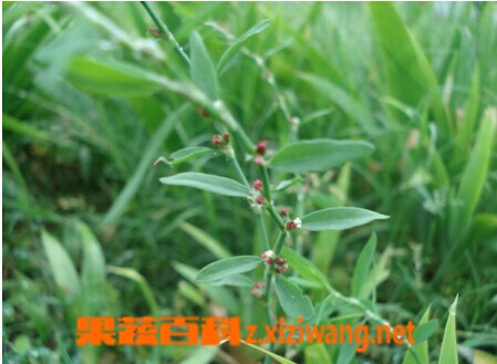 ���߰ٿ�?��