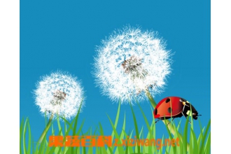 �ѹ�Ӣ����ˮ�ȵĹ�Ч�͸�����