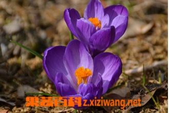 ���컨�Ĺ�Ч������