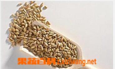 ���߰ٿƹ�ѿ