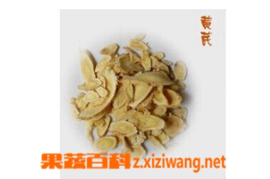 果蔬百科北芪