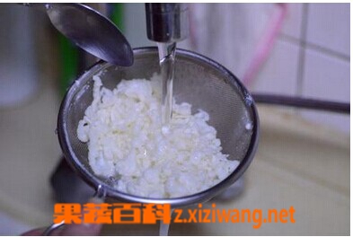 ���߰ٿƲ��鹽