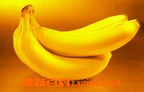 ���߰ٿ�ÿ����㽶�ô��� ���μǳ��㽶4�����