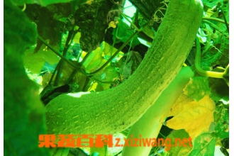 ˮ�ϵĹ�Ч������