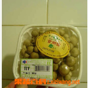 ���߰ٿ�зζ��