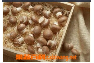 ަ��ͼƬ ަ�ӵļҳ�������ȫ