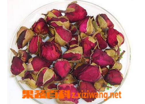 月季花茶的泡法月季花茶如何泡 花茶 做法 功效与作用 营养价值www Asqxzs Com 月季花茶的泡法月季花茶如何泡 花茶 做法 功效与作用 营养价值www Asqxzs Com