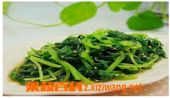 果蔬百科笕菜