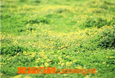 ���߰ٿ�Ұ�ջ���