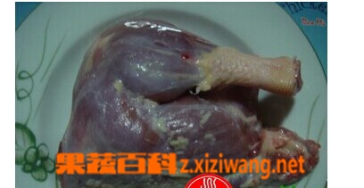 ���߰ٿ�Ѽ����