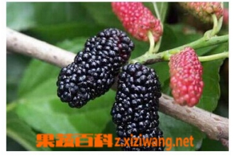 ��ɣ��ӵĹ�Ч��ô�